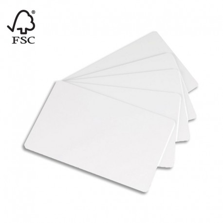 Lot de 100 cartes en papier 85,6 x 54 mm